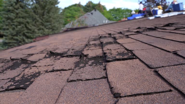 Best Emergency Roof Repair  in Parkland, WA